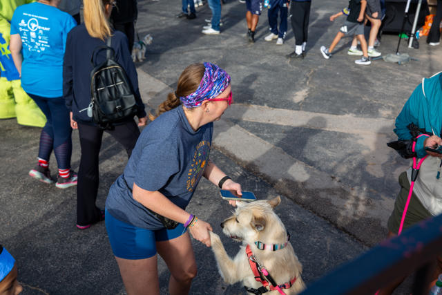 A four-legged participant gets some attention on race day