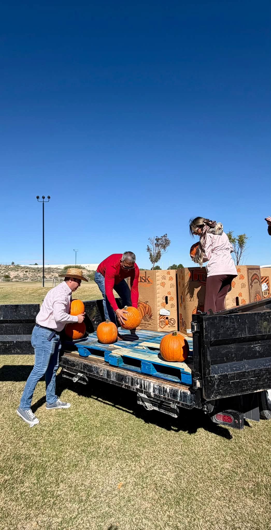 Pumpkins being unloaded from a truck to set up the pumpkin patch