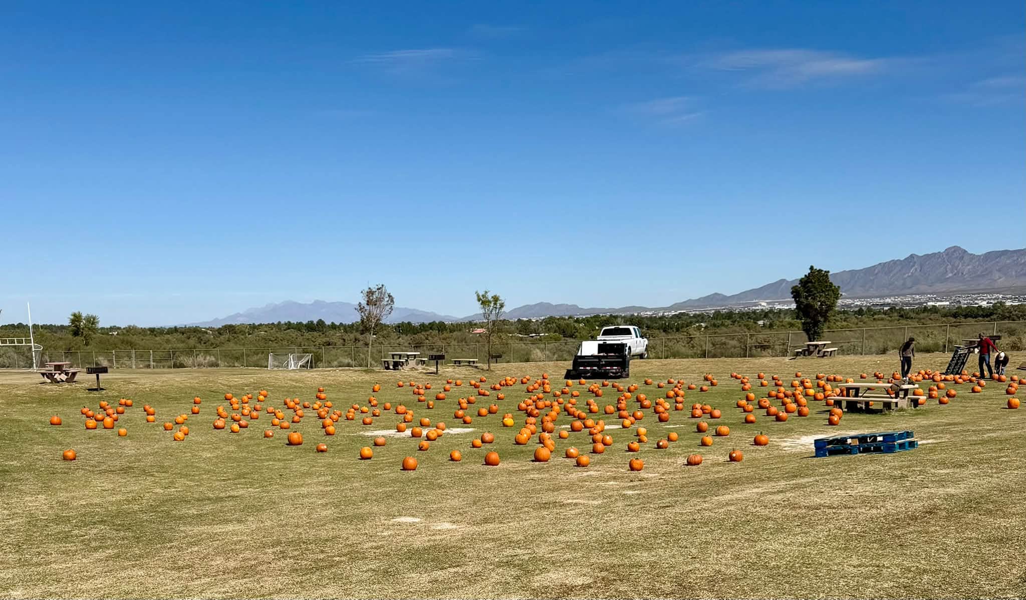Families enjoying the 2026 Sunland Park Fall Festival