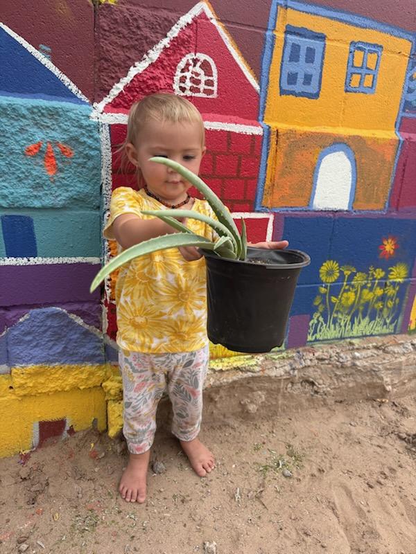 A young child holds a potted aloe vera plant in front of the mural.
